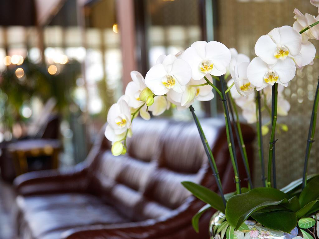 Hotel Garni Geisler ケルン エクステリア 写真
